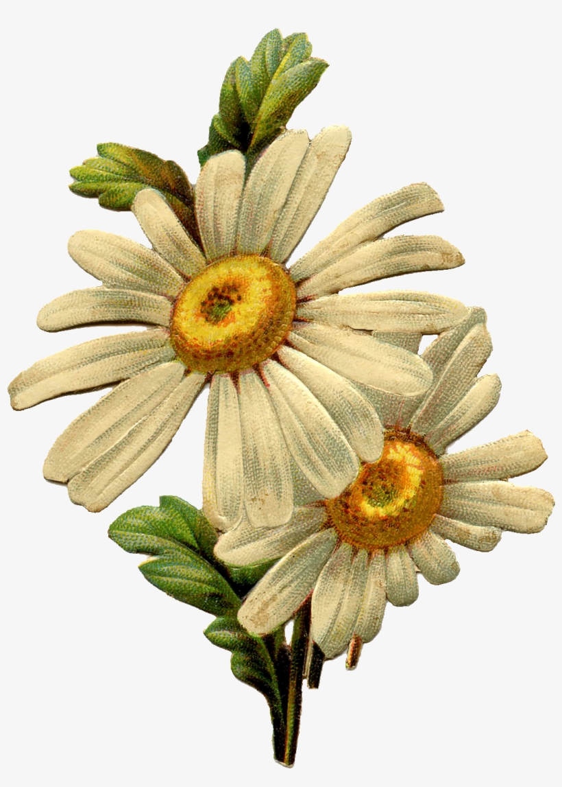 Go To Image, transparent png #1974879