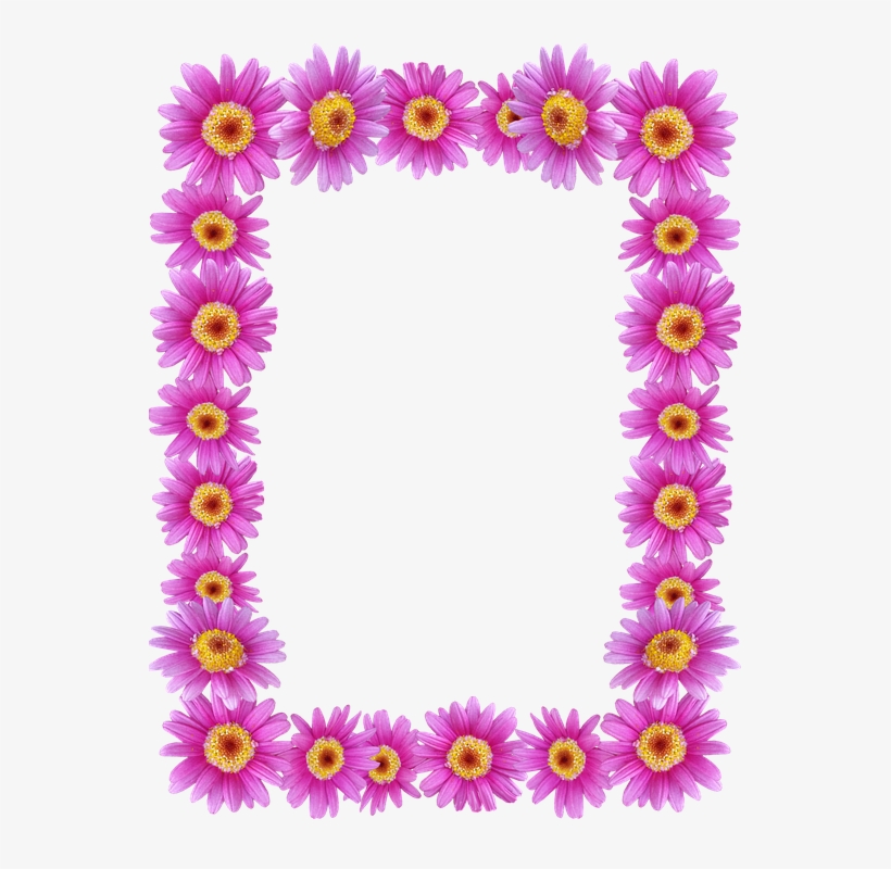 Frame, Border, Daisies, Floral, Decorative - Marco De Flores Png, transparent png #1975193