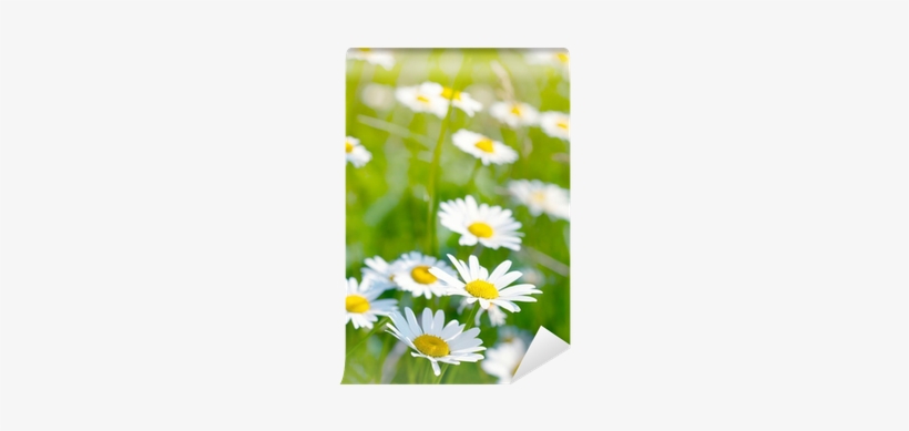 Yellow, transparent png #1975296