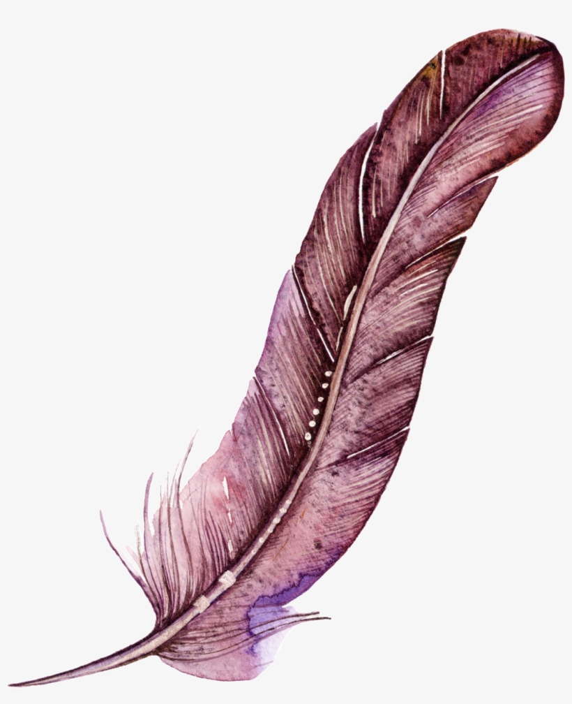 Dark Red Feather Cartoon Watercolor Beautiful Transparent - Pouzdro / Kryt Na Mobil Isaprio Fresh - Flower Pattern, transparent png #1975426