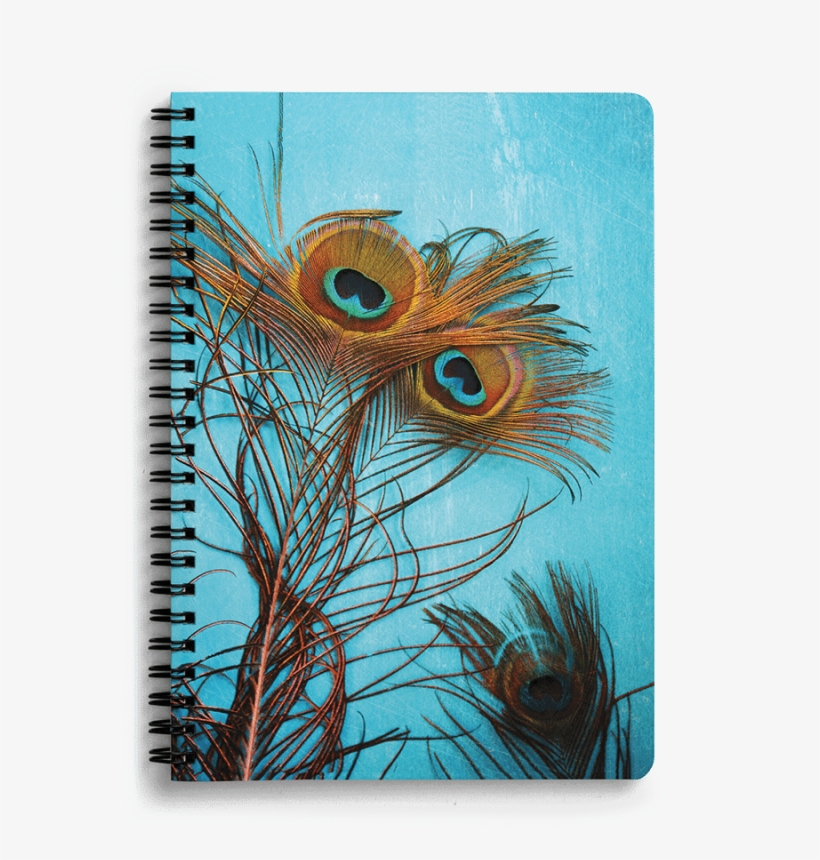 Dailyobjects 3 Peacock Feathers A5 Notebook Plain Buy - 3 Peacock Feathers Canvas Print - Small By Sylvia Cook, transparent png #1975505