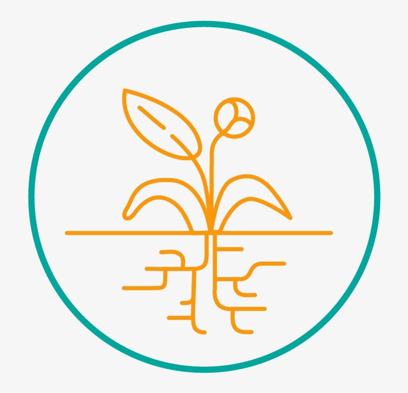 Hyi Icon Growth 01 - Icon, transparent png #1975542