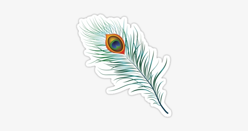 Single Peacock Feather Png Peacock Feather - Feather, transparent png #1975775
