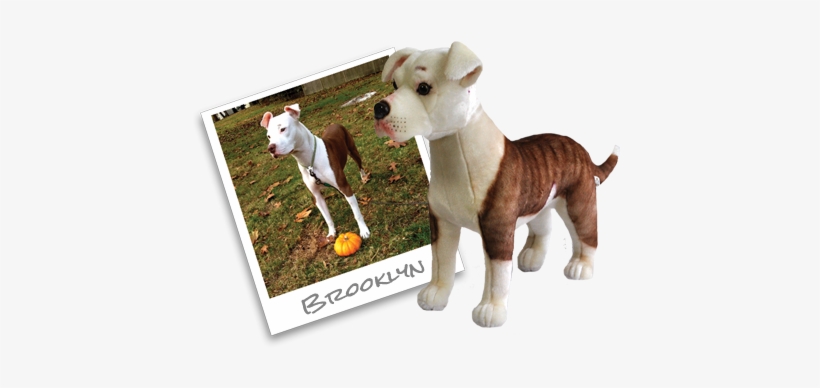 Brooklyninstagram - Toy, transparent png #1976110