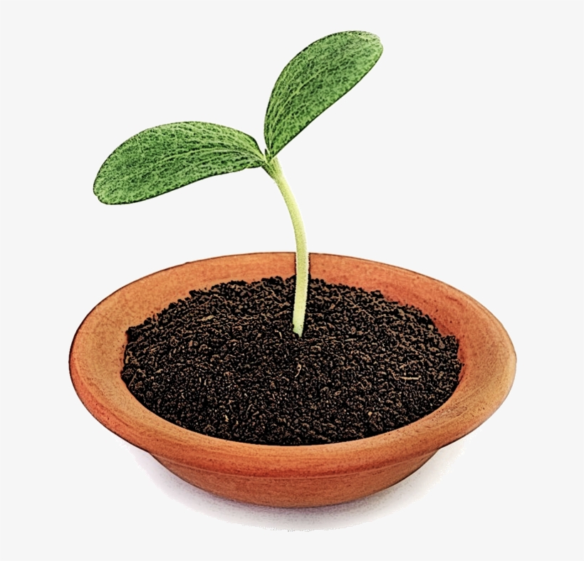 Return To Paradigm Change Resources - Pumpkin, transparent png #1976132