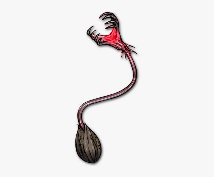 Snaptrap Seedling - Cable, transparent png #1976365