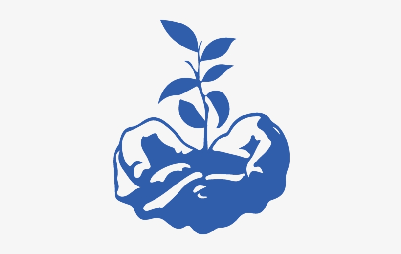 Hand Holding A Seedling - Icon For Social Justice, transparent png #1976461