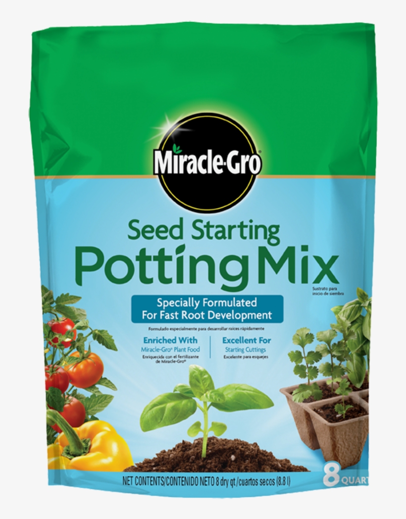 Seedling Png, transparent png #1976552