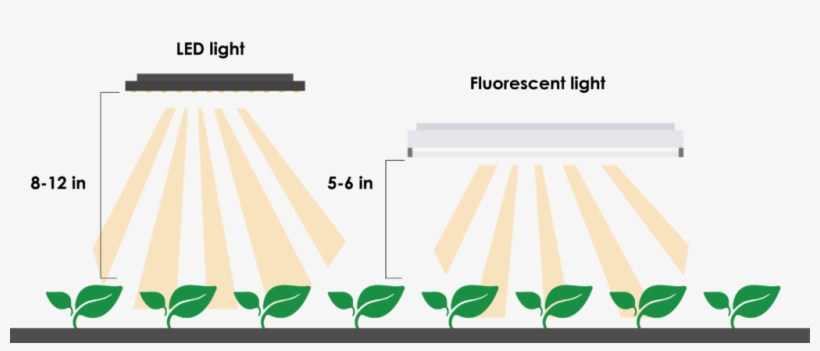 The Modern Farmer's Guide To Indoor Lighting - T5 Grow Light Distance From Plants, transparent png #1976810