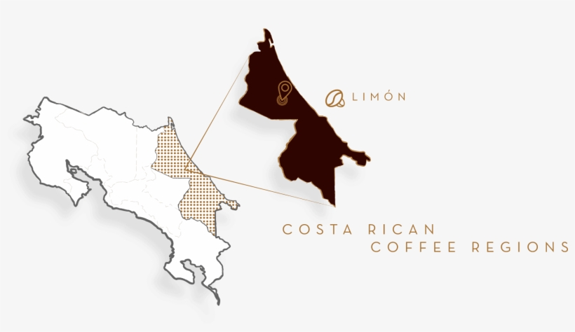 Costa Rica Limon - Limon Costa Rica, transparent png #1977505