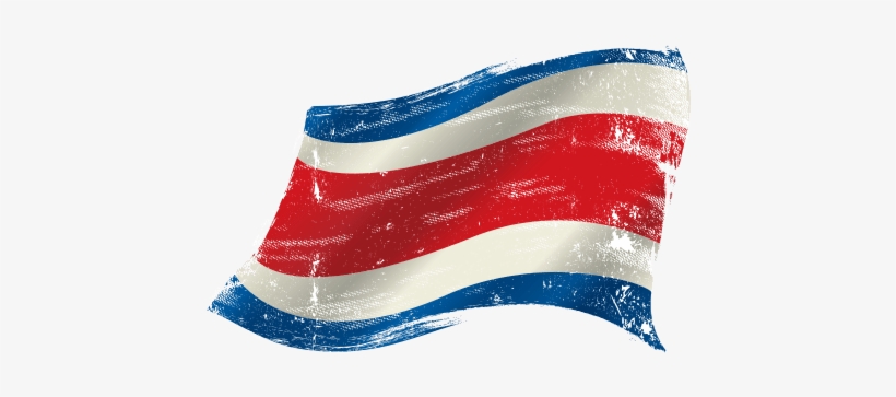 Why Costa Rica - Puerto Rico Flag Bird, transparent png #1977548