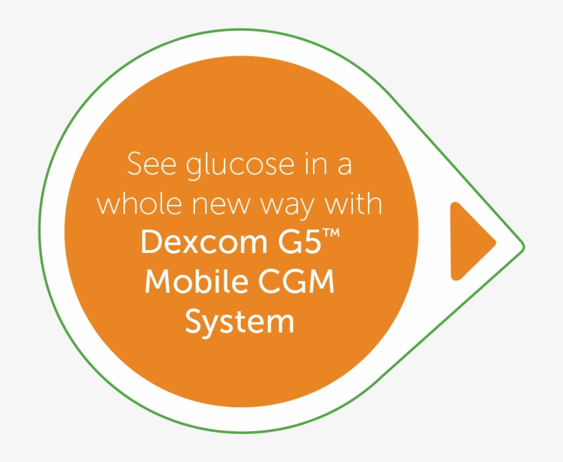 Download - Circle, transparent png #1978162