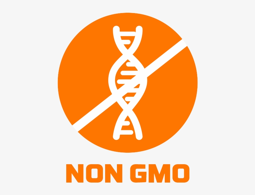 Callout Logos 01-2, transparent png #1978257