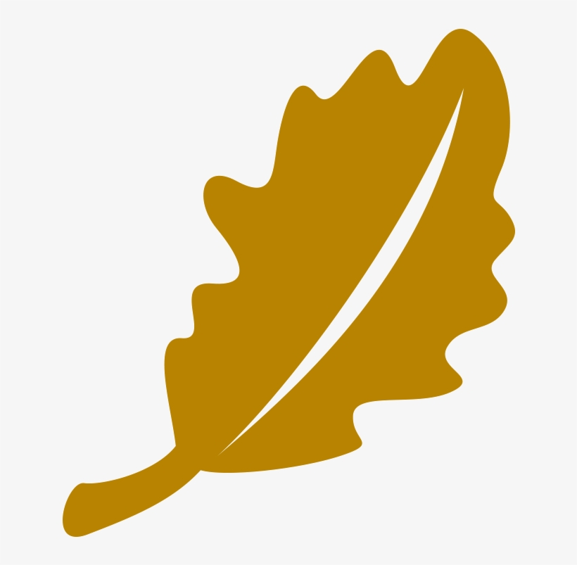 Oakleaf - Sacramento Adventist Academy, transparent png #1978277