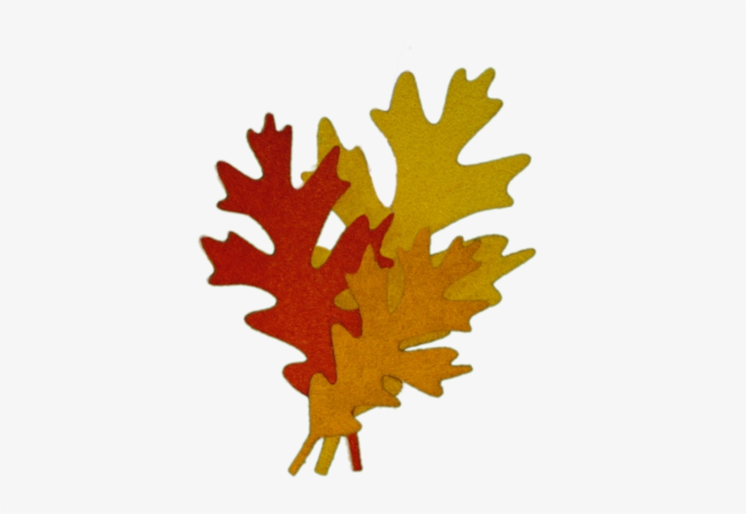 White Oak Leaves - Cluster Of Fall Leaves, transparent png #1978557