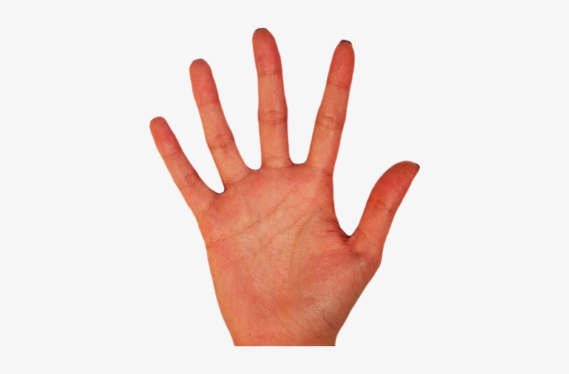 Palm Of Hand Png, transparent png #1979281