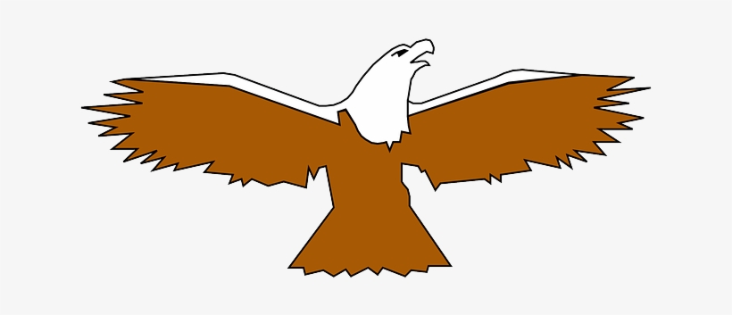 Digital, Spread, Eagle, Bird, Wings, Art, Feathers - Bird, transparent png #1981328