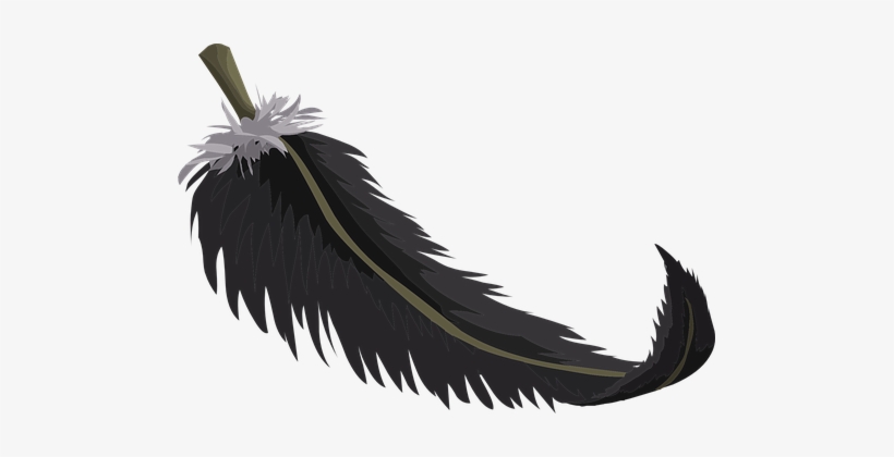 Black Feather Plumage Birds Dark Growth Ti - Quill Clipart Png, transparent png #1981509