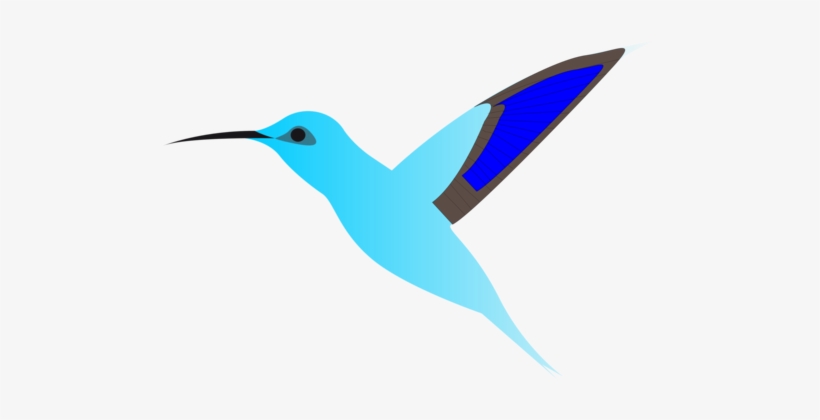 Hummingbird Flight Cartoon Wing Burung Terbang Kartun Free