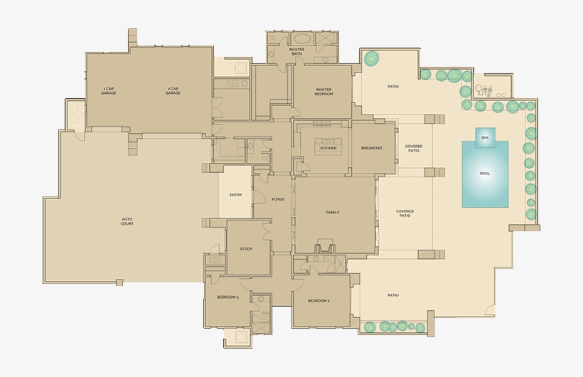 Eagle Feather Lot - Ef Education First, transparent png #1981589