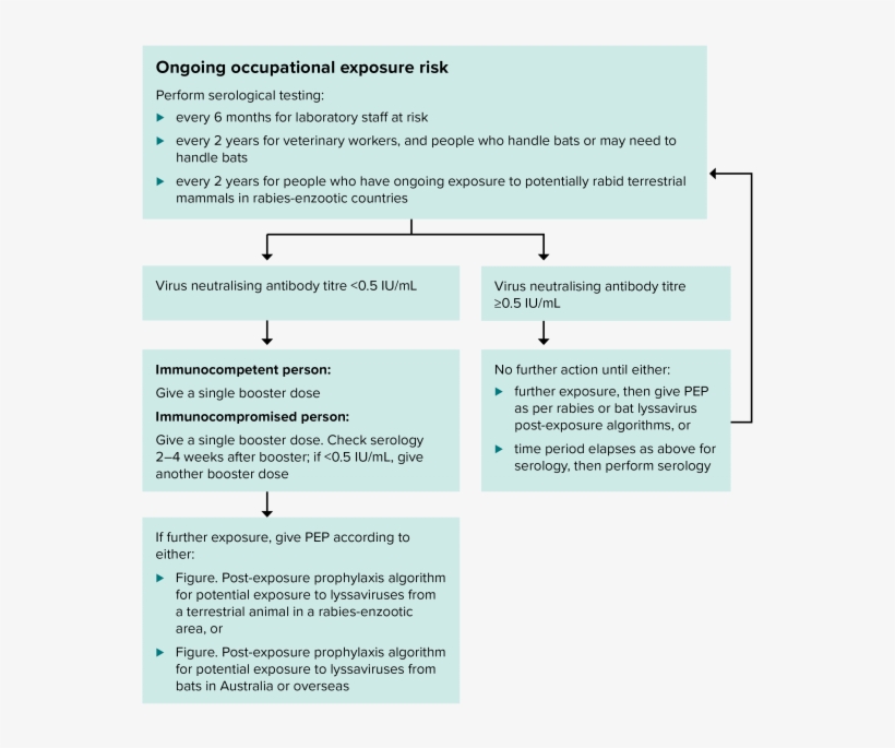 Booster Algorithm For People At Ongoing Risk Of Exposure - Lyssavirus, transparent png #1985300