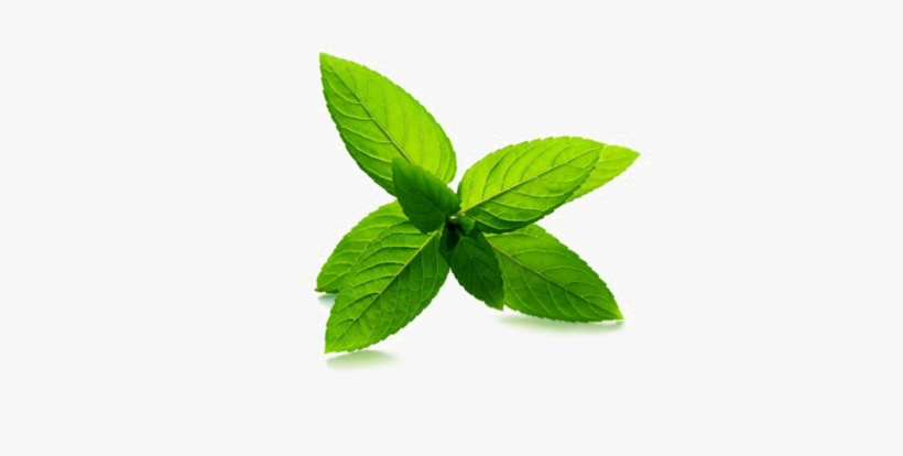 Peppermint Png Pic - Good And Beautiful Community: Following The Spirit,, transparent png #1985495