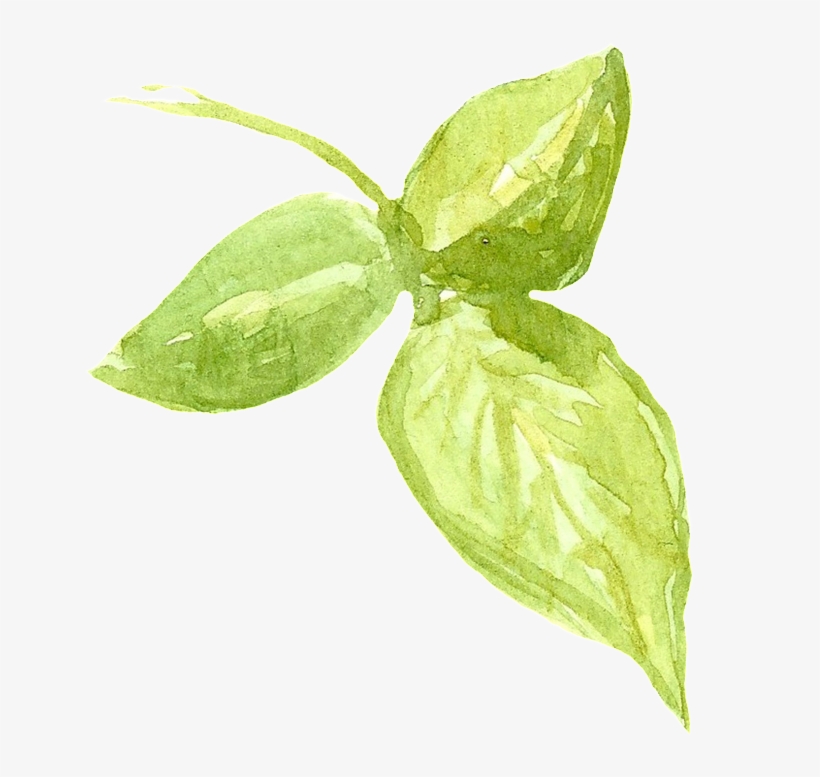 Portable Network Graphics, transparent png #1985675