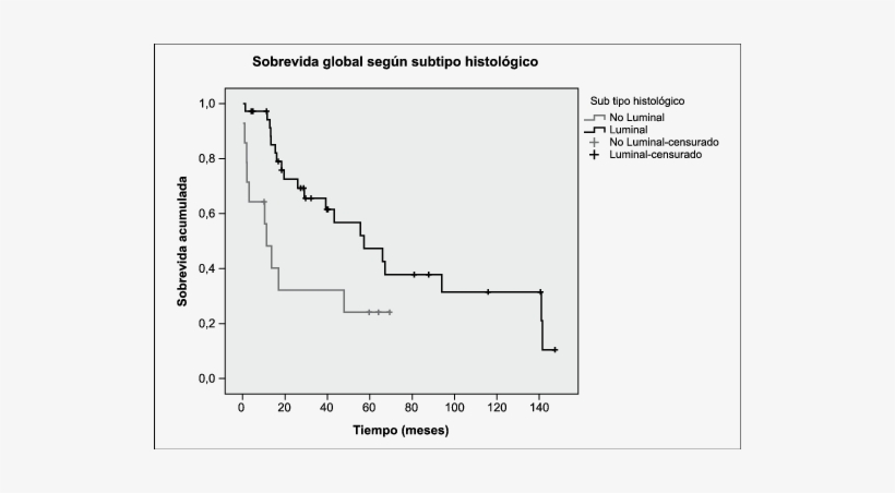 Sobrevida Global De Una Cohorte De Pacientes Con Cáncer - Breast Cancer, transparent png #1987101