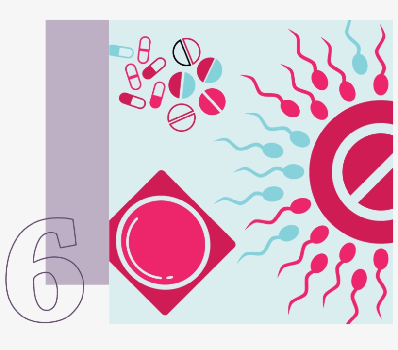 6 - Infografia De Planificacion Familiar Mexico, transparent png #1987525