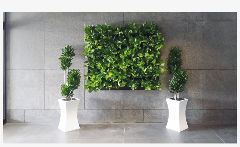 Living Wall 02 - Green Wall, transparent png #1987716