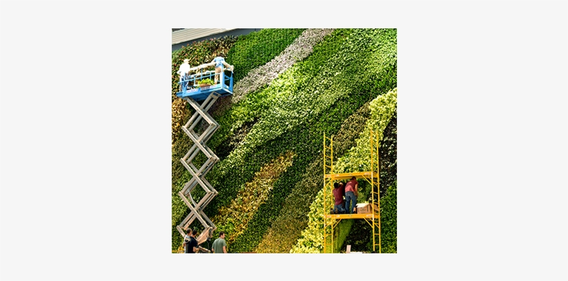Green Wall Installations - New York City, transparent png #1987902