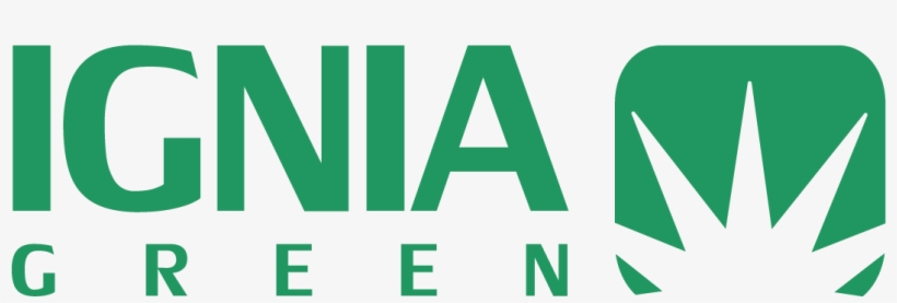 Igniagreen - Ignialight, transparent png #1988553