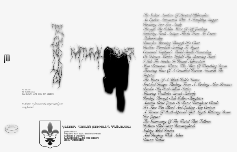 Forest, transparent png #1988858