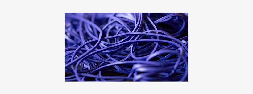 Today, When You Order "joe Rindfleisch's Rainbow Rubber - Joe Rindfleisch's Rainbow Rubber Bands (dan Harlan, transparent png #1989670