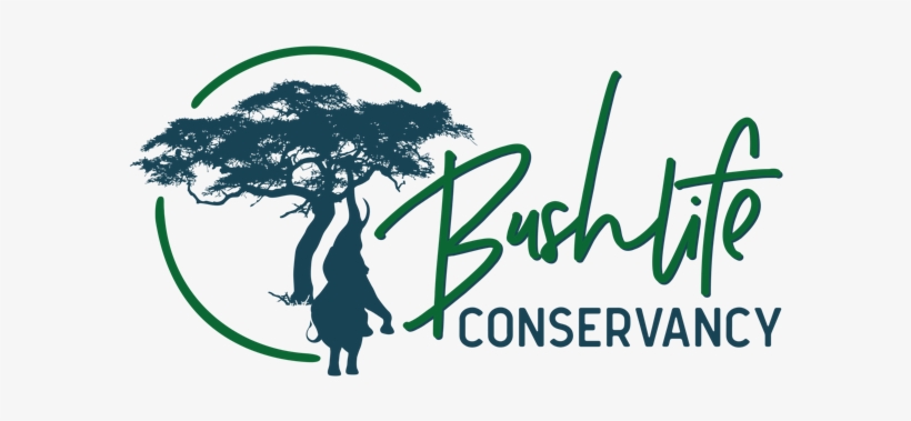 A Proportion Of All Profits From Talks, Image Sales, - Mudhut Tree Decorative Pillow - Cream (14x18"), transparent png #1992333