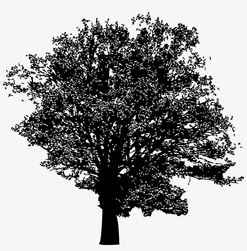 Abstract, Ağaç, Agriculture, Art, Backdrop, Background, - Scalable Vector Graphics, transparent png #1992355