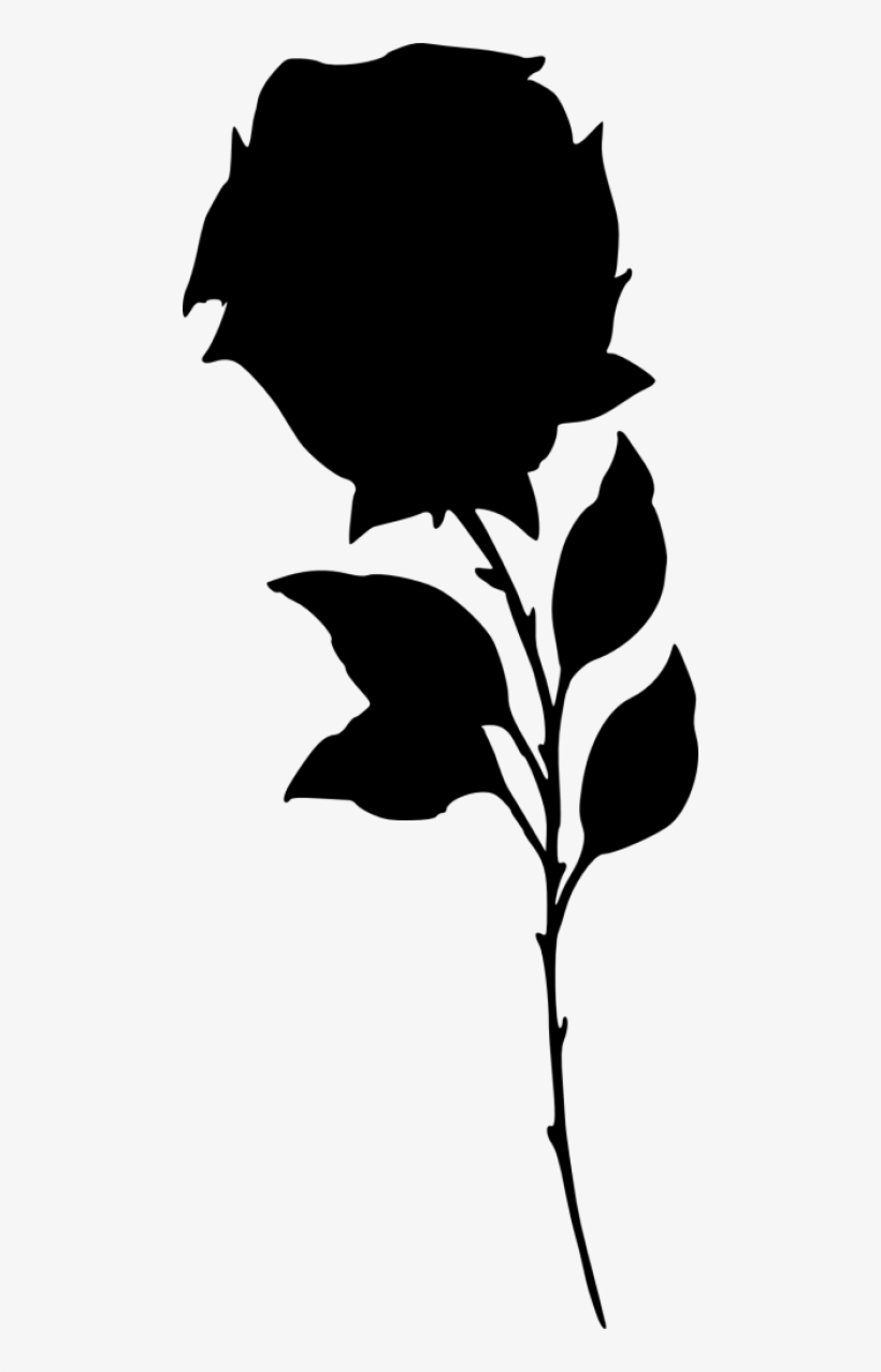 Free Png Rose Silhouette Png Images Transparent Stock Xchng Free Transparent Png Download Pngkey