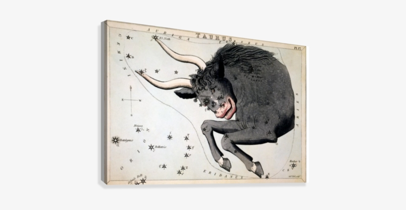 Taurus Art - Sidney Hall Canvas Art Prints - Taurus Constellation, transparent png #1994326