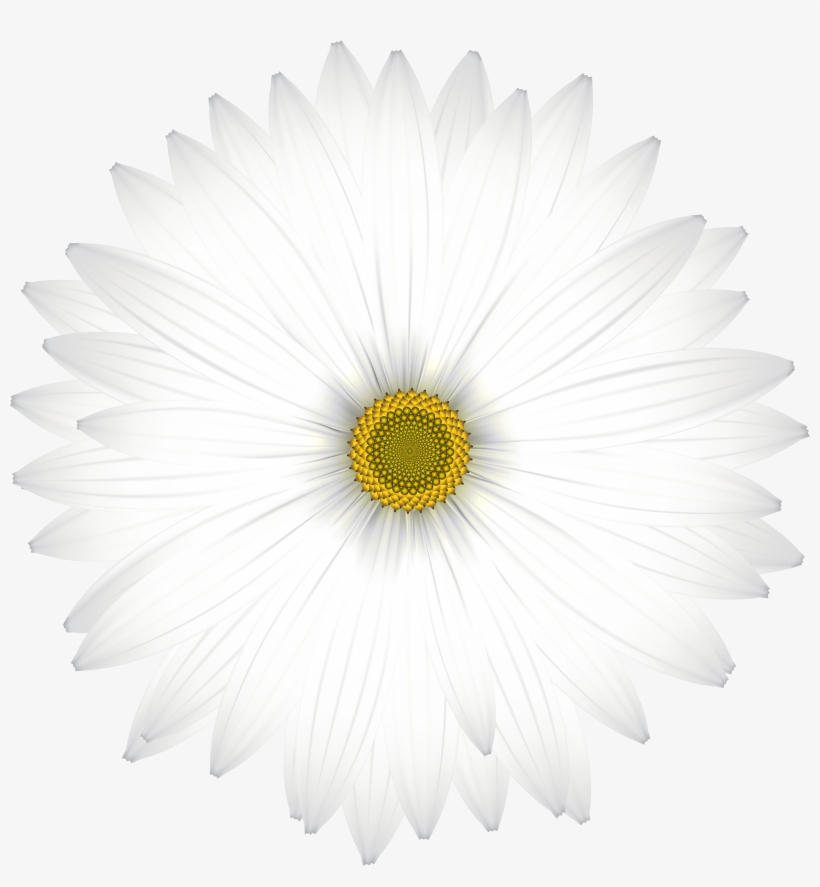 White Flower Clipart Png, transparent png #1994466