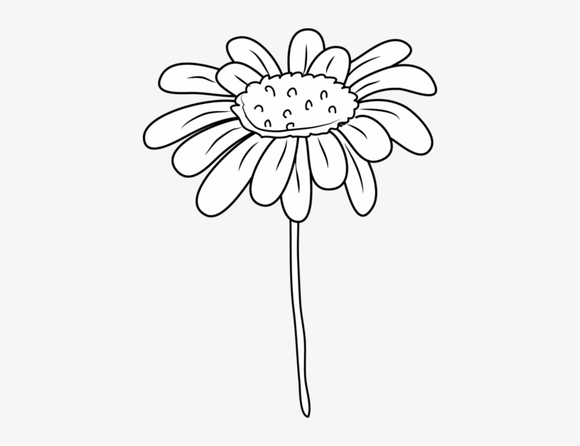 White Daisy Drawing At Getdrawings - Clip Art Black And White Daisy, transparent png #1994659