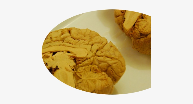 Peanut Butter Cookie, transparent png #1994806