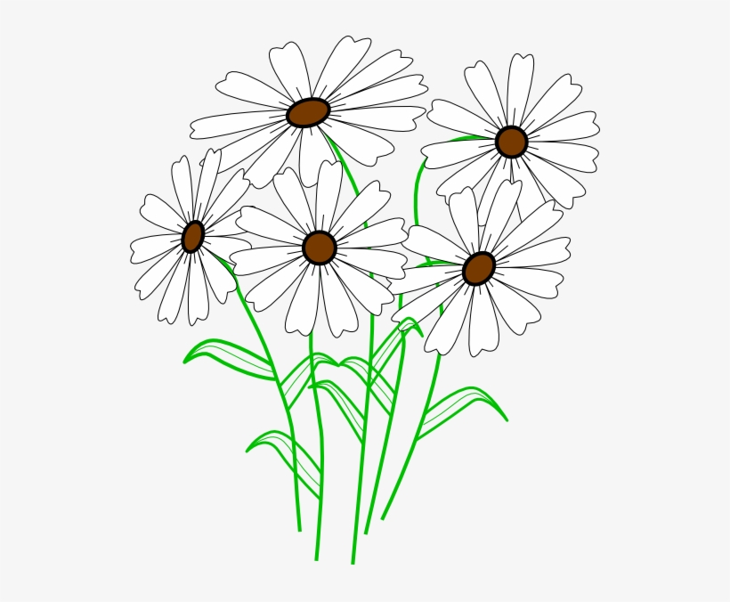 How To Set Use White Daisy Bunch Clipart, transparent png #1994837