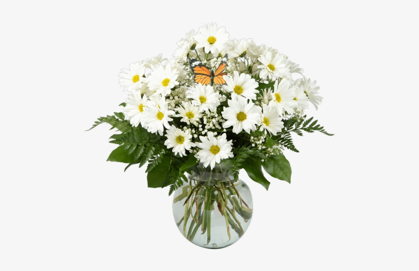 Daisy Vase, Large - Royer's Flowers & Gifts, transparent png #1994963