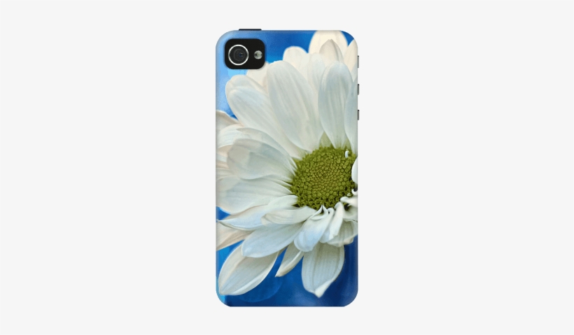 Cases Screen Guard - White Daisy On Blue Iphone 6 Slim Case By Micklyn, transparent png #1995206