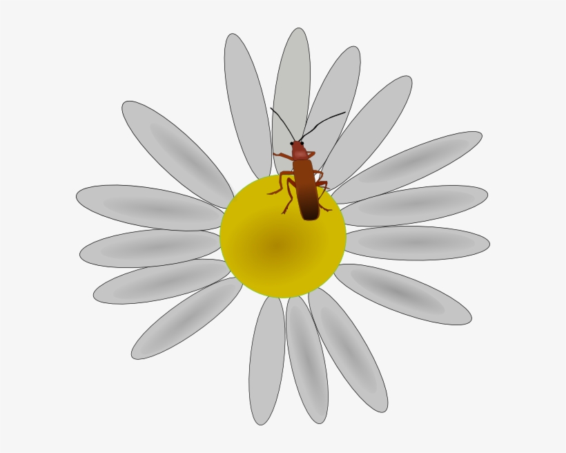 How To Set Use Bug On A Daisy Svg Vector, transparent png #1995313