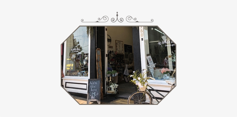 White Daisy Designs - Design, transparent png #1995339