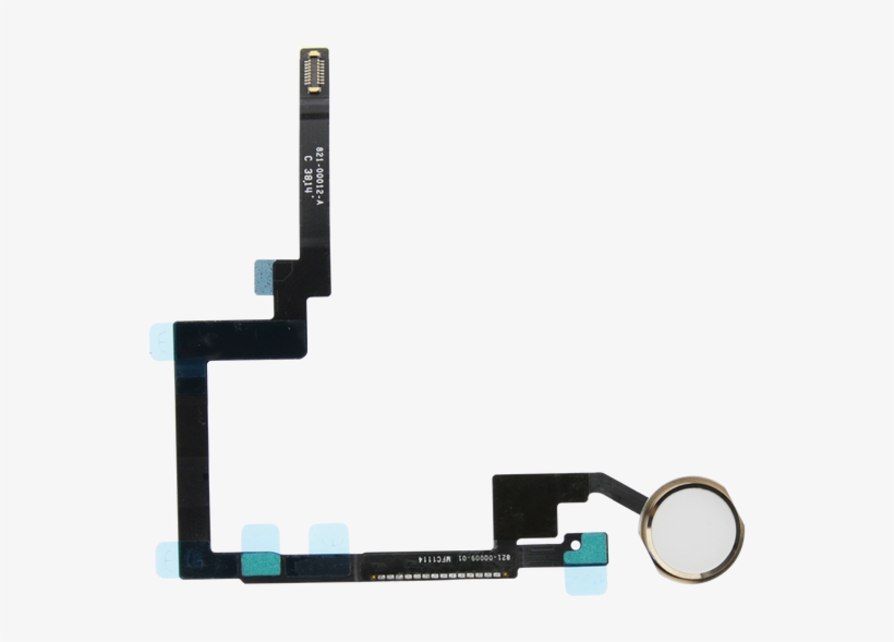 Gold Home Button Flex Cable For Ipad Mini - Ipad Mini 3 Home Button White, transparent png #1995971