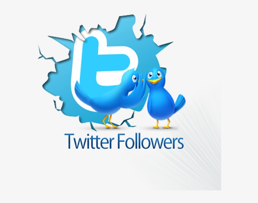 Buy 5 000 Twitter Followers De T Shirt Do Roblox Do Twitter Free Transparent Png Download Pngkey - tweet bird roblox