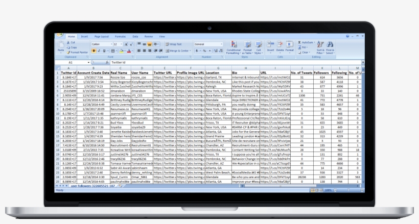 You Will Get All The Twitter Followers Of Any Public - Excel, transparent png #1997493