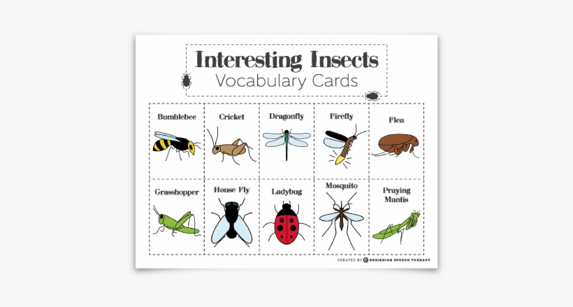 Interesting Insects Educational Product, transparent png #1998422